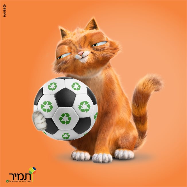 לתפוס את הכדור